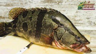 Правильная разделка рыбы Огромный окунь больше пяти кг. на филе
