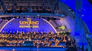 The Lion King 30th  Hollywood Bowl #hollywoodbowl