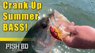 Catch More Summertime Bass with Crankbaits – Fish Ed