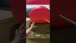 Giant Balloon Takes Over City