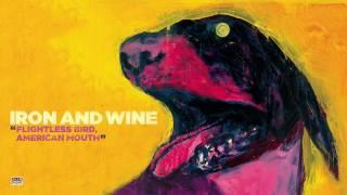 Iron & Wine - Flightless Bird American Mouth