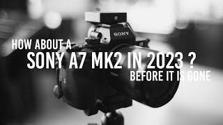 Sony A7II  My fellow Full Frame in 2023