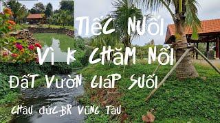 tiếc nuối cho nhà vườn ao cá giáp suối ở châu đức br-Vũng tàu bị bỏ hoang chủ ngầm ngùi bán gấp.