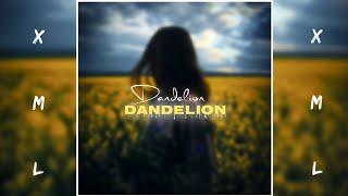 Dandelion - Ruth B    English song  presetalightmotion  #xmlfile link in comment section