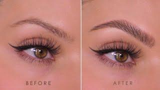 UPDATED Natural Fluffy Eyebrow Tutorial 2024  How-To  Shonagh Scott