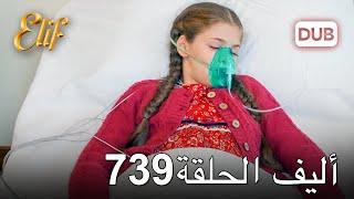 أليف الحلقة 739  دوبلاج عربي