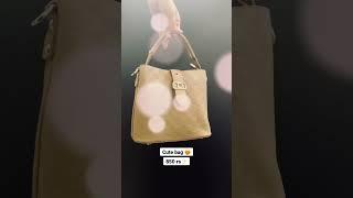 Bag dupes cute bag #shorts #youtubeshorts