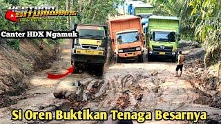 Canter HDX Ngamuk Giliran Truk Besar Si Oren Bikin Gempar