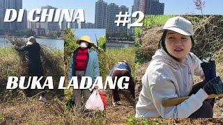 #2 Ladang Baru Kami di China Kami Pacul dulu