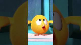 ¡Está helado #fails #Shorts #Chicky  Cartoon for kids