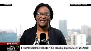 Ethiopian government working on peace negotiations for the countrys north