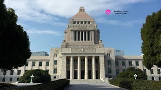 The Diet Building Tokyo