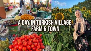 The Life In Turkish Village Farm & Small Town Kastamonu Turkey