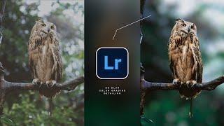 Perfect Background Blur + Color Grading in Lightroom Mobile and Snapseed  Picsart Photo Editing