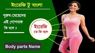 পুরুষ মেয়েদের গোপন অঙ্গ English শে কি বলে  Basic English to Bangla words meaning  Best word lists