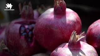 10 interesting facts about Goychay pomegranate festival