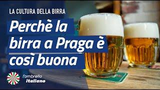 Perchè la birra a Praga è così buona e come viene spillata la Pilsner Urquell