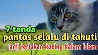 7 tanda yang jarang di ketahui ‼️teriakan kucing dalam Islam  wajib diketahui