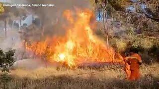 Incendi in Sicilia brucia da tre giorni zona boschiva nellEnnese