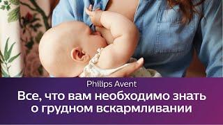 Все что вам необходимо знать о грудном вскармливании. Школа Philips Avent.