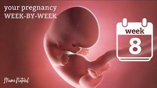 8 Weeks Pregnant - Natural Pregnancy Week-By-Week