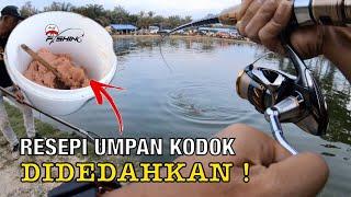 Resepi Umpan Patin Kolam  BOCORKAN RAHSIA