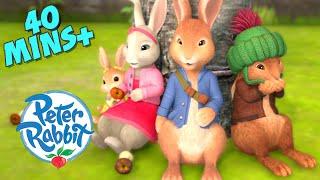 Peter Rabbit - Sweet Friendship Moments  Cartoons for Kids