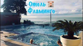 Отель Фламинго