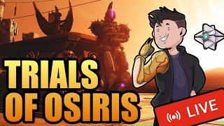 Trials of Osiris Endless Vale  Aishas Care  LIVE  Destiny 2