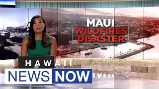 Maui county will tighten shoreline rules while loosening rules in Lahaina burn zone