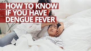 How to know if you have Dengue Fever #Lifesaver