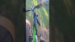 #mtb #bike #short #shorts @SamPilgrim @SethsBikeHacks @GoPro @KeefeOlderwagenMtb @MrBeast