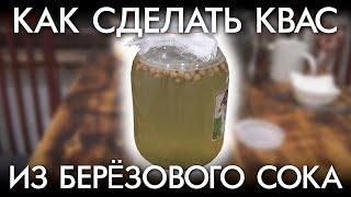 КАК СДЕЛАТЬ КВАС ИЗ БЕРЕЗОВОГО СОКА