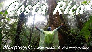 Costa Rica Monteverde mit dem Naturschutzgebiet Santa Elena und dem Monteverde Butterfly Garden