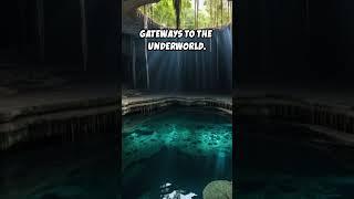 Discover Mexico’s Magical Cenotes Ancient Wonders Beneath the Jungle 