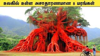 உலகில் உள்ள அசாதாரணமான மரங்கள் - Most Unusual Trees In The World - Tamil Galatta News