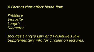 4 Key factors that affect blood flow