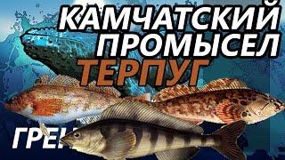 Камчатский промысел Терпуг  РР3  Русская рыбалка 3.9 Гренландия