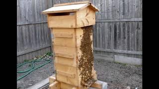 японский улей или  улей Варрэ  Безрамочное содержание пчёл  Пчеловодство выходного дня