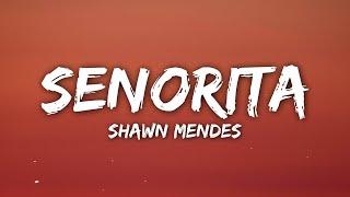 Shawn Mendes Camila Cabello - Señorita LyricsLetra