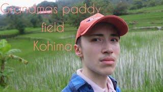 visit to grandmothers paddy field in Kohima