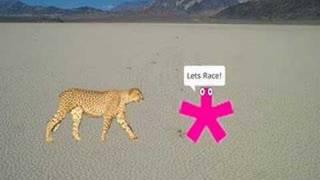 Be Broadband Vs The Cheetah