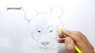 How to draw a Panda Head step by step  realistic Panda drawing