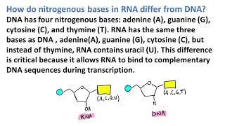 RNA Transcription The Process of Copying Genetic Information