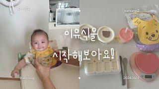 육아vlog D+170 이유식시작 초기이유식 필수준비물 시판이유식 이유식용기추천 베베쿡