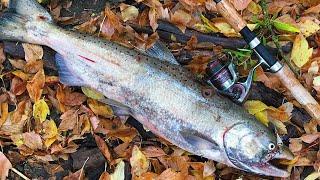 Umatilla River Fall Run Salmon Fishing