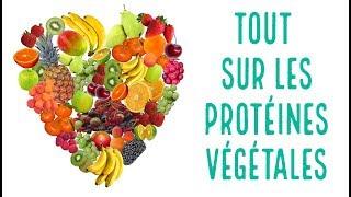 Où trouver des PROTEINES végétales dans les FRUITS et LEGUMES courants ?