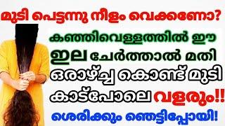 കഞ്ഞിവെള്ളത്തിൽ ഇതൊന്നു  ചേർത്ത് തേച്ചാൽ എത്ര വളരാത്ത മുടിയും കാടുപോലെ വളരും#trending#hairpack