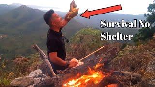 Solo Survival No Shelter Above the height through the Moss Path