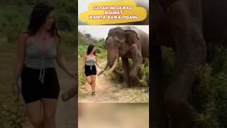 Mungkin Pisangnya Kecil #shorts #shortsviral #elephant